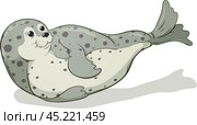 Cartoon spotted seal vector image, hand-drawn illustration. Стоковая иллюстрация, иллюстратор Долотова Елена Викторовна / Фотобанк Лори