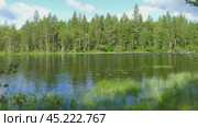 landscape with river and forest in Karelia. Стоковое видео, видеограф Михаил Коханчиков / Фотобанк Лори