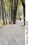 People in the distance are walking along a path covered with autumn leaves in an autumn park. Стоковое видео, видеограф Ярославский Максим / Фотобанк Лори