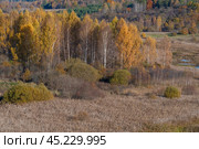 Золотая осень в Изборско-Мальской долине. Псковская область. Редакционное фото, фотограф Виктор Карасев / Фотобанк Лори