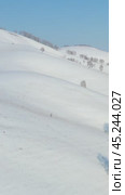 Vertical Aerial video from drone on winter snow landscape. Biryuksinsky mountain pass in Altai. Стоковое видео, видеограф Сергей Пристяжнюк (Serg Zastavkin) / Фотобанк Лори