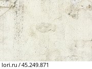 The surface of the old light concrete wall with cracks. Abstract background, texture. Close-up. Стоковое фото, фотограф Лариса Гордеева / Фотобанк Лори