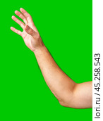 human arm gesturing with raised fingers against a bright green backdrop. Стоковое фото, фотограф Сергей Толмачёв / Фотобанк Лори