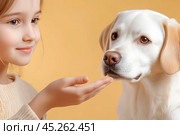 Девочка и собака. Стоковое AI-изображение, AI-художник Щеголева Ольга / Фотобанк Лори