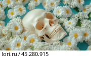 A skull rests among delicate white daisies, creating a contrast of life and mortality, AI. Стоковое AI-изображение, AI-художник Сергей Старуш / Фотобанк Лори