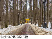 Зимой на дорожках городского парка образуются лужи от растаявшего снега. Заледеневшие дорожки для прогулок в зимнем парке. Зимой деревья стоят без листьев. Парк в Царицыно. Стоковое фото, фотограф Эдуард Белкин / Фотобанк Лори