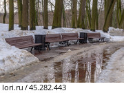 Зимой на дорожках городского парка образуются лужи от растаявшего снега. Заледеневшие дорожки для прогулок в зимнем парке. Зимой деревья стоят без листьев. Парк в Царицыно. Стоковое фото, фотограф Эдуард Белкин / Фотобанк Лори