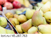 freshness ripe diet bunch copy closeup food fruit space background crop fresh agriculture pear. Стоковое фото, фотограф ilya Lyubchenko / Фотобанк Лори
