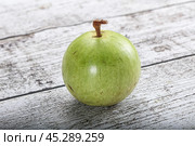 Tropical sweet fruit Sapote Star apple. Стоковое фото, фотограф Андрей Старостин / Фотобанк Лори
