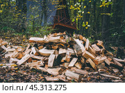 Поленница нарубленных дров на фоне домика в лесу. Стоковое фото, фотограф Константин Григорьев / Фотобанк Лори
