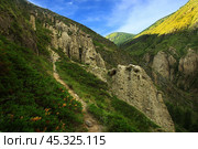 Green slopes of Altai mountains in Akkurum trakt with stone mushrooms in sumer. Стоковое фото, фотограф Natalya Danilova / Фотобанк Лори