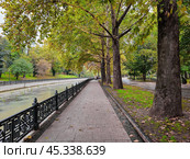 Urban decorative canal with Platanus threes in the autumn. Стоковое фото, фотограф Саблин Станислав / Фотобанк Лори
