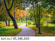 Зеленая солнечная аллея и фонари, Петровский парк, Москва (2023 год). Стоковое фото, фотограф Baturina Yuliya / Фотобанк Лори