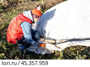 Winter Protection for Garden, winter shelter for garden plants, shelter rhododendrons. Стоковое фото, фотограф Ольга Сейфутдинова / Фотобанк Лори