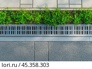 Iron grate of a drainage system for storm water drainage from a pedestrian sidewalk near a green lawn. Drain system installation. City metal grate and concrete street drain on the sidewalk of a road. Стоковое AI-изображение, AI-художник Марина Демидюк / Фотобанк Лори