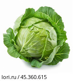 Fresh green cabbage with intact leaves on white background. Стоковое AI-изображение, AI-художник Иван Рябоконь / Фотобанк Лори