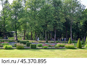 Парковая аллея в Петергофе. Петродворец (2023 год). Редакционное фото, фотограф Александр Тараканов / Фотобанк Лори