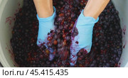 Man pressing grapes with hands for subsequent fermentation of the resulting mass, working in protective gloves, concept on the topic of making wine at home. Стоковое видео, видеограф Сергей Чайко / Фотобанк Лори