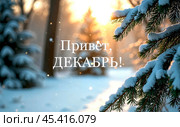 Надпись "Привет, декабрь" на фоне зимнего леса. Заснеженные ветки деревьев. Стоковое AI-изображение, AI-художник Оксана / Фотобанк Лори