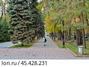 В парке "28 Героев-панфиловцев". Город Алматы. Республика Казахстан. Стоковое фото, фотограф Александр Тараканов / Фотобанк Лори