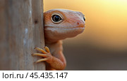 Яркая светящаяся кожа прекрасной рептилии для фотосъемки и наблюдения за дикой природой. Стоковое AI-изображение, AI-художник ФотоИнтеллект / Фотобанк Лори
