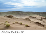 Барханы Капчагайской пустыни. Казахстан. Стоковое фото, фотограф Александр Тараканов / Фотобанк Лори