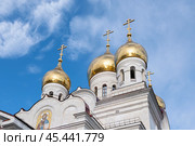 Купола Михайло-Архангельского кафедрального Собора. Архангельск (2023 год). Редакционное фото, фотограф Инна Грязнова / Фотобанк Лори