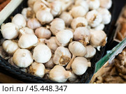 close up of mature garlic on counter in marketplace. Стоковое фото, фотограф Яков Филимонов / Фотобанк Лори