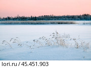 Зима, Мороз, Западная Сибирь, замерзшая река, берег реки ( Ямал, Пуровский район ) Стоковое фото, фотограф Павел Просянов / Фотобанк Лори