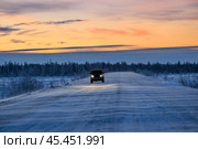 Зима, сумерки, дорога в тайге, внедорожник, поземка ( Западная Сибирь, Ямал ) (2011 год). Редакционное фото, фотограф Павел Просянов / Фотобанк Лори