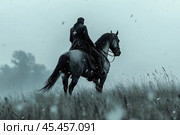 A mysterious and atmospheric scene: a rider on a horse, dressed in dark gear, with a visible cross on his back, against the background of a field in snowy weather. The landscape is shrouded in a cold gray-blue light, which creates a feeling of silence and severity. Tall grass sways in the wind, and falling snow adds dynamics and enhances the feeling of winter chill. The horse looks powerful and graceful, emphasizing the strength and grandeur of the scene. This image is ideal for historical, mystical or epic themes, as well as for use in artistic and literary projects. Стоковое AI-изображение, AI-художник Анна Кривицкая / Фотобанк Лори