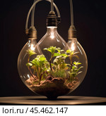 A unique eco-design concept: a miniature terrarium enclosed inside a large transparent lamp. Inside the lamp there are green plants, moss and soil elements that create a living composition. The lamp is illuminated with a soft light that adds warmth and highlights the details of the plants. This terrarium lamp is suspended together with two other similar lamps, forming a modern and eco-oriented art installation. The background is dark, which emphasizes the composition and creates an atmosphere of coziness and modernism. The photo is ideal for themes about nature, ecology, sustainable design, lighting and art objects. Стоковое AI-изображение, AI-художник Анна Кривицкая / Фотобанк Лори