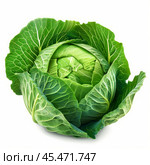 Fresh green cabbage with intact leaves isolated on white background. Стоковое AI-изображение, AI-художник Иван Рябоконь / Фотобанк Лори