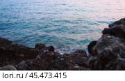 Foamy waves crash onto the rocky shore in the evening during blue hour. Sunlight reflects off waves as they roll onto rocks, creating tranquil atmosphere at pink sunset by sea. Montenegro summer. Стоковое видео, видеограф Юлия Петровская / Фотобанк Лори