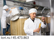Brewer checks amount of alcohol in beer using an alcoholmeter. Стоковое фото, фотограф Яков Филимонов / Фотобанк Лори