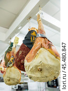 Италия. Минтурно. Окорок для ветчины прошутто в магазине. Italy. Minturno. Prosciutto ham ham in the store. Стоковое фото, фотограф Алексей Смышляев / Фотобанк Лори