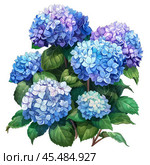 Blooming blue hydrangeas creating a stunning floral display. Стоковое AI-изображение, AI-художник Иван Рябоконь / Фотобанк Лори