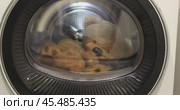 Washing Machine designed for Laundry, an essential household appliance for cleaning clothes. Стоковое видео, видеограф Ольга Коваленко / Фотобанк Лори