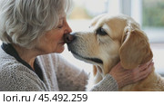 Tender moment shared between a senior woman and her beloved dog as they touch noses affectionately. Стоковое AI-видео, аниматор Юрий Поздников / Фотобанк Лори