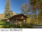 Old traditional log house in open air museum Ballenberg in autumn. View of the Alps. Municipality of Hofstetten bei Brienz, canton of Bern, Switzerland. Редакционное фото, фотограф Bala-Kate / Фотобанк Лори