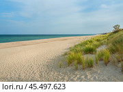 Long white sand beach in the Curonian Spit National Park. Kaliningrad region. Russia (2021 год). Стоковое фото, фотограф Elena Odareeva / Фотобанк Лори