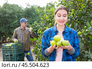 Delighted farmer woman holding lemons in fruit farm. Стоковое фото, фотограф Яков Филимонов / Фотобанк Лори