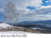 Вторая Николаевская сопка, парк Гремячая Грива, Сибирь, Красноярск. Зимний пейзаж, природа, город и река Енисей (2020 год). Стоковое фото, фотограф Екатерина Якименко / Фотобанк Лори