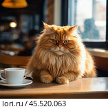 Кот в кафе за чашкой кофе. Стоковое AI-изображение, AI-художник Алексей Смирнов / Фотобанк Лори