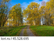 Парк золотой осенью. Псковская область. Стоковое фото, фотограф Анна Карасева / Фотобанк Лори