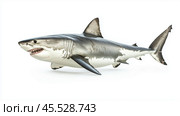 Realistic depiction of a great white shark swimming in an ocean environment. Стоковое AI-изображение, AI-художник Сергей Толмачёв / Фотобанк Лори
