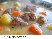 Steaming hot irish stew with potatoes, carrots, and beef simmering in a pot. Стоковое AI-изображение, AI-художник Юрий Поздников / Фотобанк Лори