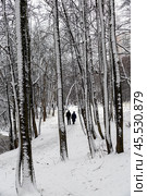 An elderly couple walks in the park during a snowfall. Редакционное фото, фотограф Андрей Иванов / Фотобанк Лори