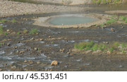 Hot springs and fumaroles in Valley of Geysers. Стоковое видео, видеограф Михаил Коханчиков / Фотобанк Лори