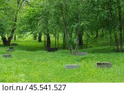 Старое финское кладбище, Сортавала, Карелия (2019 год). Стоковое фото, фотограф Алексей Иванов / Фотобанк Лори